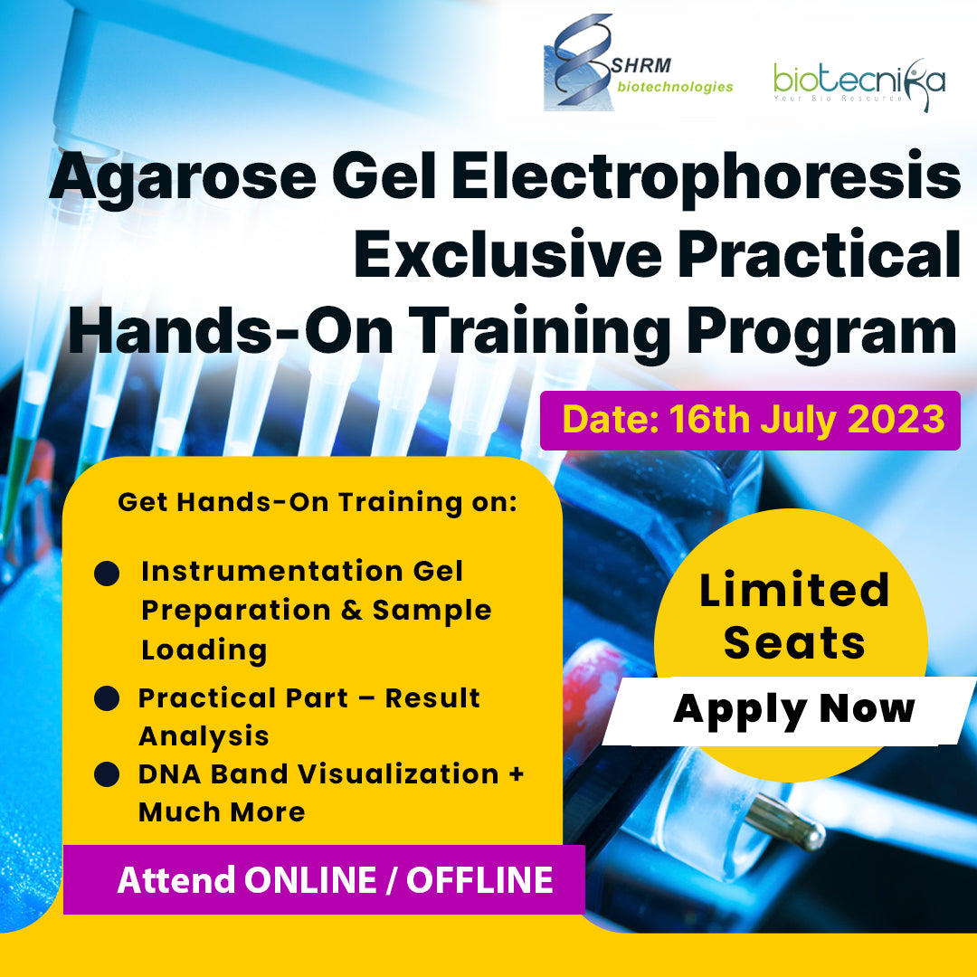 Agarose Gel Electrophoresis Exclusive Practical Hands-On Training - At ...