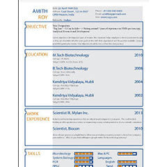 Resume / CV Designing