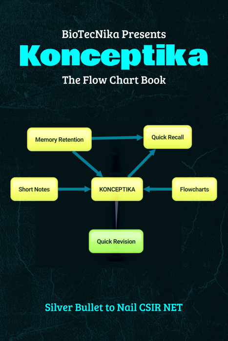 Konceptika - The Flowchart Book
