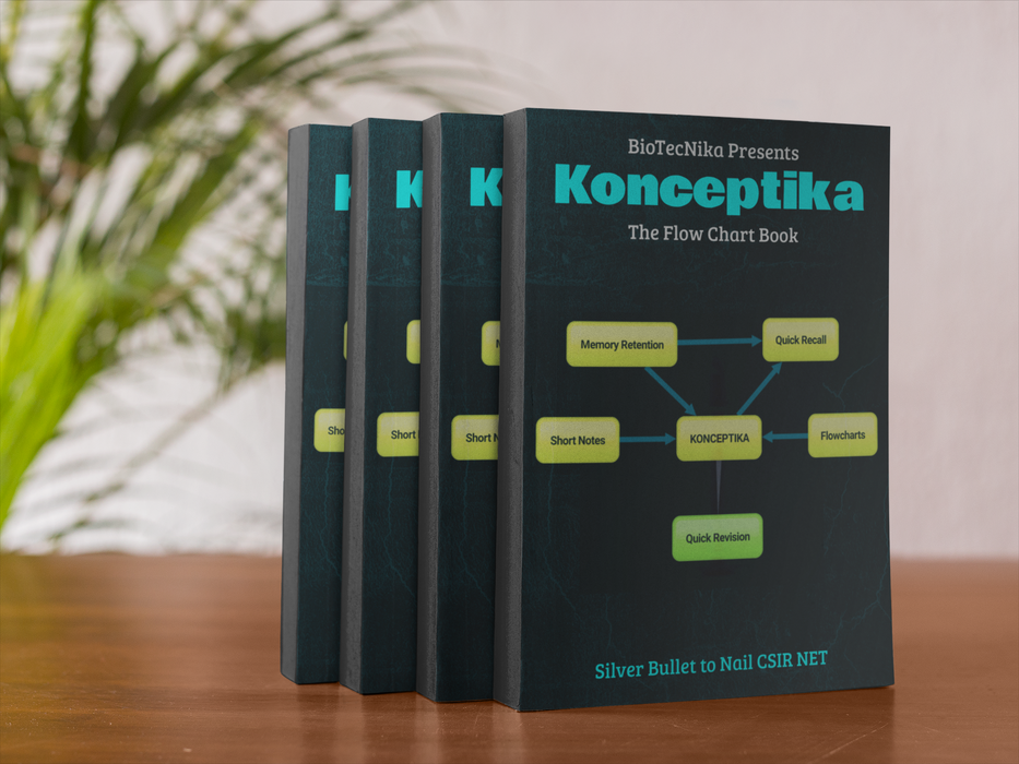 Konceptika - The Flowchart Book
