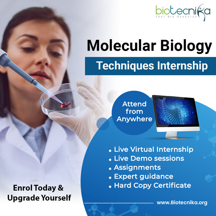 Molecular Biology Techniques Internship